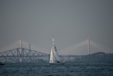 2021 wed dragon edinburgh cup ec21 8937w